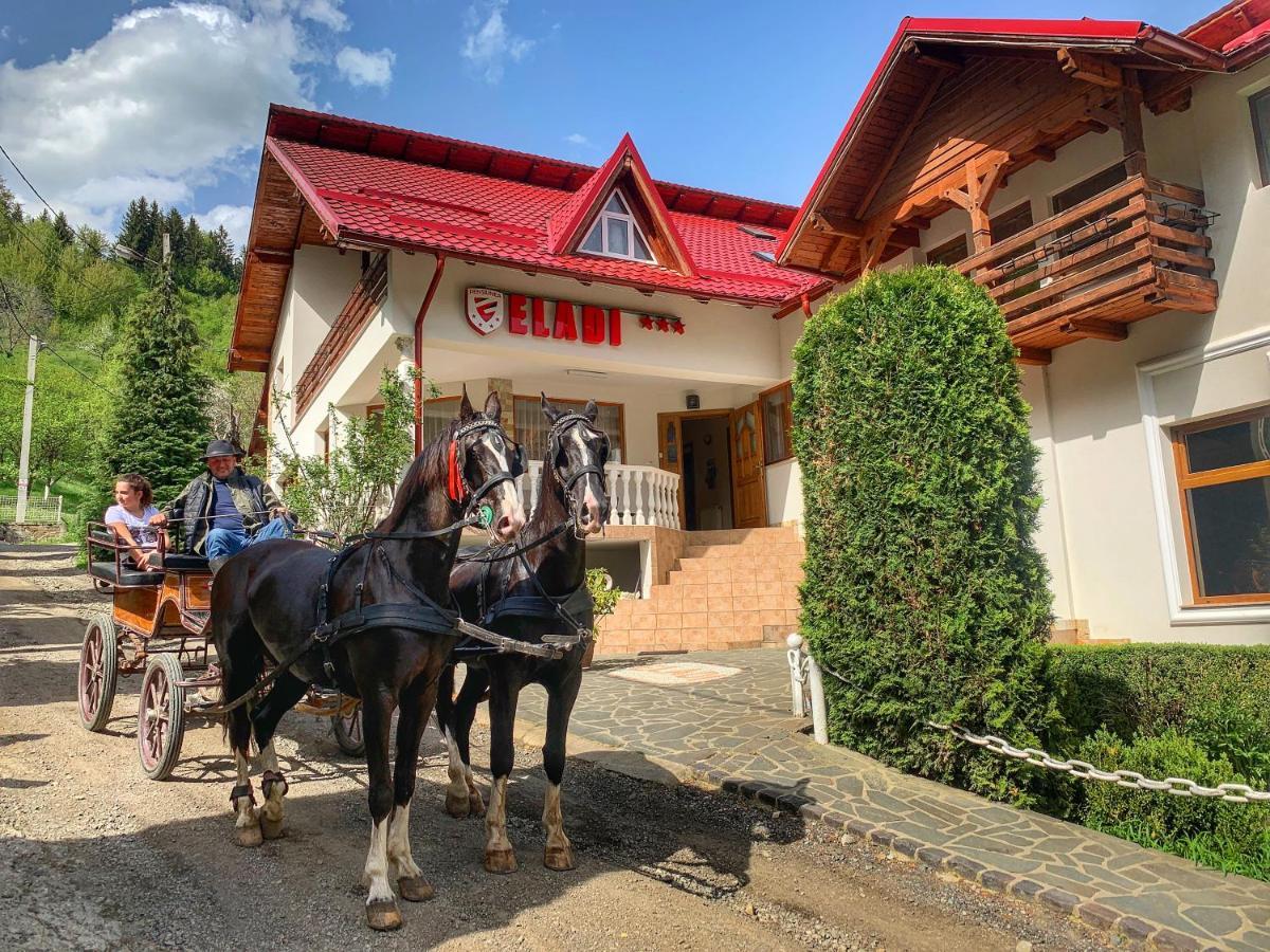 Pensiunea Eladi Borsa  Bagian luar foto